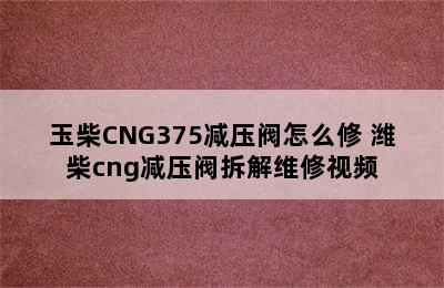 玉柴CNG375减压阀怎么修 潍柴cng减压阀拆解维修视频